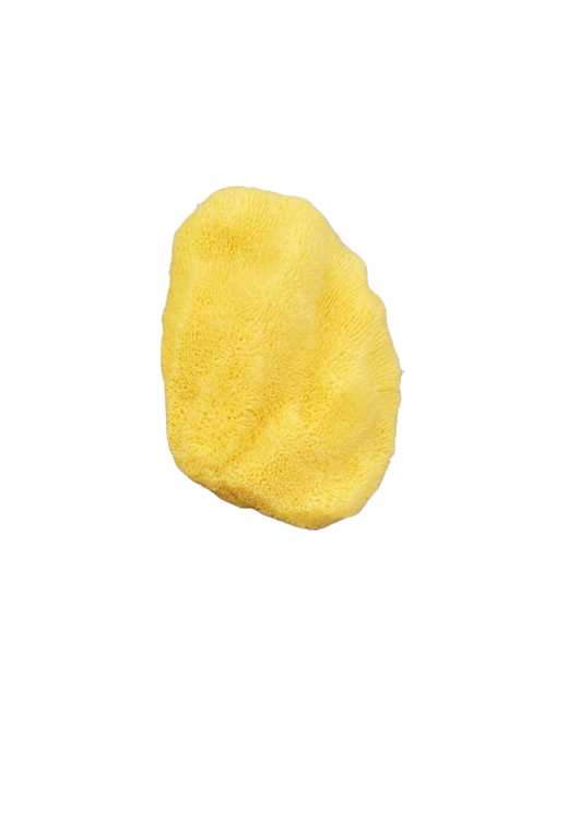 Gąbka-elephant-ear- wybielana 2.png
