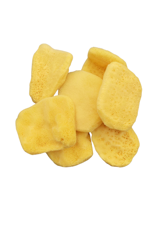 Gąbka-elephant-ear- wybielana 3.png