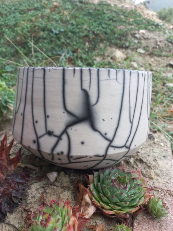 Naked raku pot 2.jpg