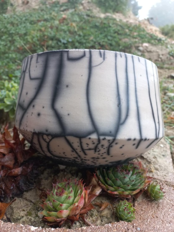 Naked Raku pot.jpg
