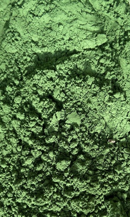 zielony pigment JUSTa.jpeg