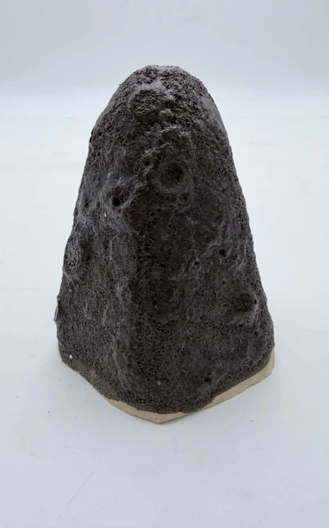 Sweet Sweat Pianka Lunar Rock Justa.jpg