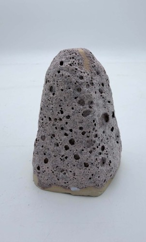 Sweet Sweat Pianka Justa Coral Reef.jpg