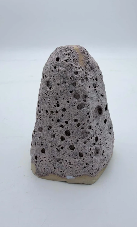 Sweet Sweat Pianka Justa Coral Reef.jpg